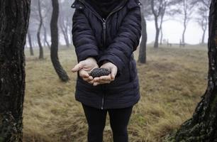 Woman with pine cones photo