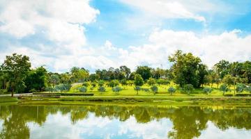 estanque verde en el lago del paisaje de verano del parque con jardín de palmeras y fondo de cielo azul foto