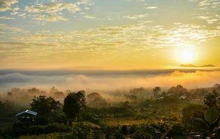 Fog sunrise over winter beautiful morning with misty cover on meadow photo