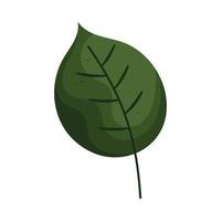 follaje de la planta de hoja verde vector