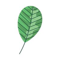 dejar el follaje de la planta vector