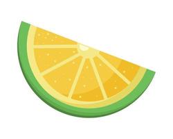 lemon citrus fruit vector