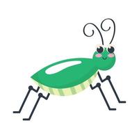 green cricket insect animal vector