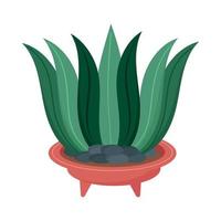 houseplant in red bowl vector