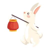 rabbit with chinese lamp vector