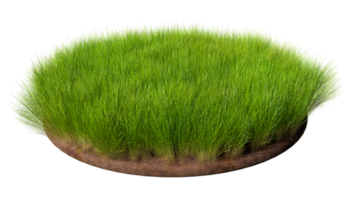 Round surface covered with green grass isolated on transparent background. 3D rendering illustration png