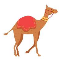 camel desert transport vector