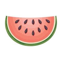 fresh watermelon fruit healthy vector