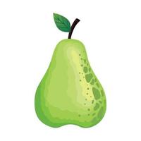 fresh pear fruit healthy vector