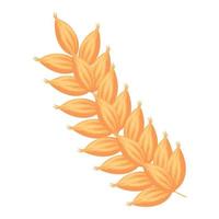 golden barley spike vector