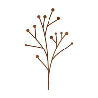 branch with seeds vector