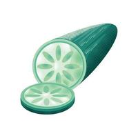 cucumber vegetable icon vector