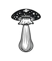 mushroom witchy esoteric vector