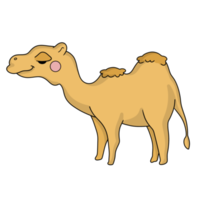 camello animal de dibujos animados png