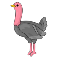 animal de dessin animé autruche png