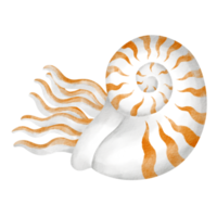 nautilus vattenfärg klämma konst tecknad serie png