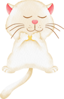 watercolor cute cat and kitty character cartoon