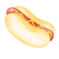 hotdog fast food watercolor png