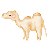 camel watercolor wild animal png