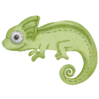 lagarto aquarela animal selvagem png