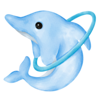 delfino acquerello selvaggio animale png