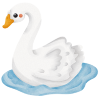 cygne aquarelle ferme animal png