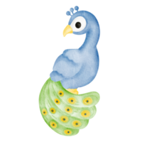 pavão aquarela animal selvagem png