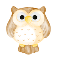 owl watercolor wild animal png