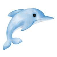 delfino acquerello clip arte cartone animato png