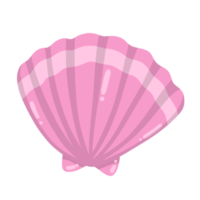 shell cartoon sea animal png