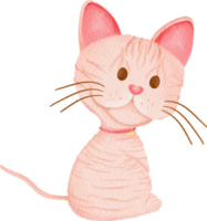 watercolor cat cartoon element collection set baby kitty png