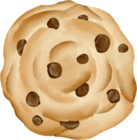 acuarela postre dulce clip art elemento linda galleta png