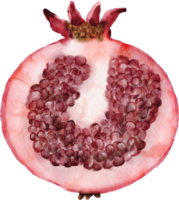 frutas de clipart de romã em aquarela png