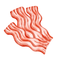 bacon fast food aquarela png