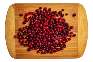 frische Preiselbeeren oder Oxycoccus. Cranberries sind reich an Vitaminen und Mineralstoffen. Beeren werden in der Medizin und in der Küche verwendet. png