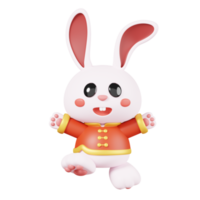 Rabbits in traditional clothing isolated. Chinese new year elements icon. 3D illustration. png