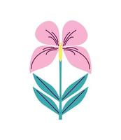 flower hibiscus icon vector