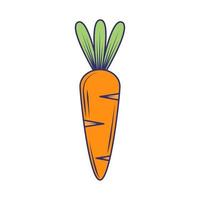 carrot vegetable icon vector