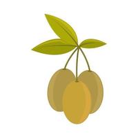 olives branch icon