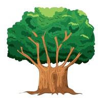 greenery tree icon vector