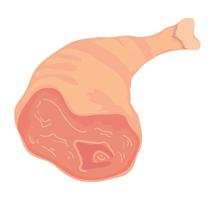 meat leg icon vector