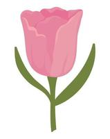 flor, tulipán, icono vector