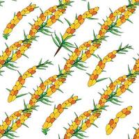 Sea buckthorn seamless pattern. Twigs with berries and leaves. Template with orange fresh berries for wallpaper vector