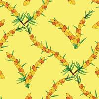 Sea buckthorn seamless pattern. Twigs with berries and leaves. Template with orange fresh berries for wallpaper vector