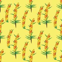 Sea buckthorn seamless pattern. Twigs with berries and leaves. Template with orange fresh berries for wallpaper vector