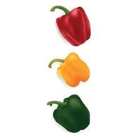 Three ripe vegetables red yellow green peppers vector