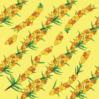 Sea buckthorn seamless pattern. Twigs with berries and leaves. Template with orange fresh berries for wallpaper vector