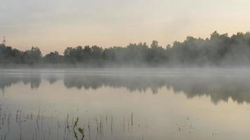 paisagem de timelapse com neblina matinal no lago da floresta video