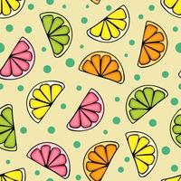 Seamless pattern background of slices citrus vector