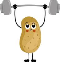 Funny potato mascot make gym vector